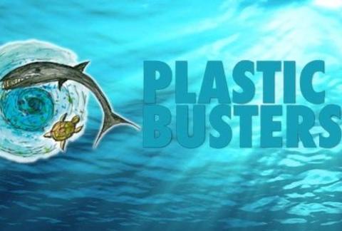 Progetto Plastic Busters