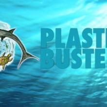 Progetto Plastic Busters